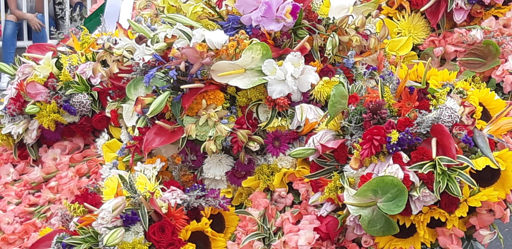 Medellín_feria_flores