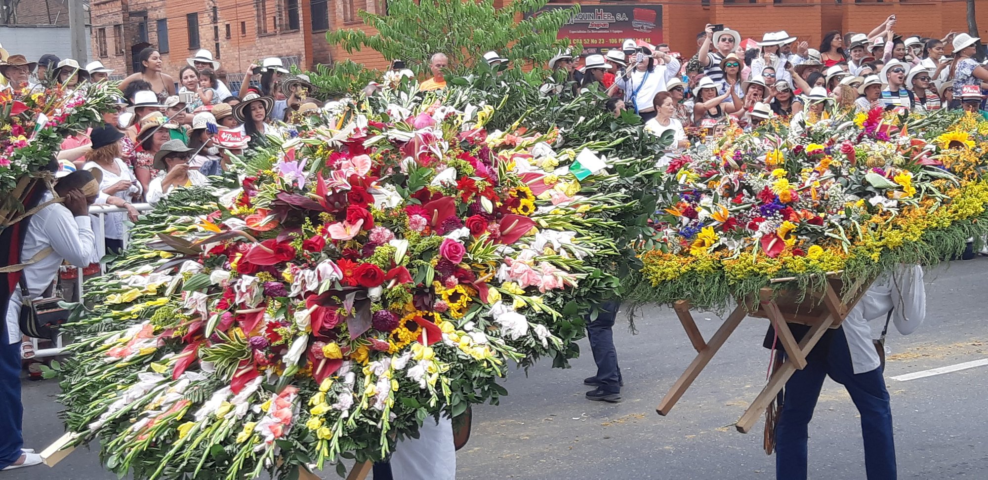 Medellín_feria_flores_silleteros