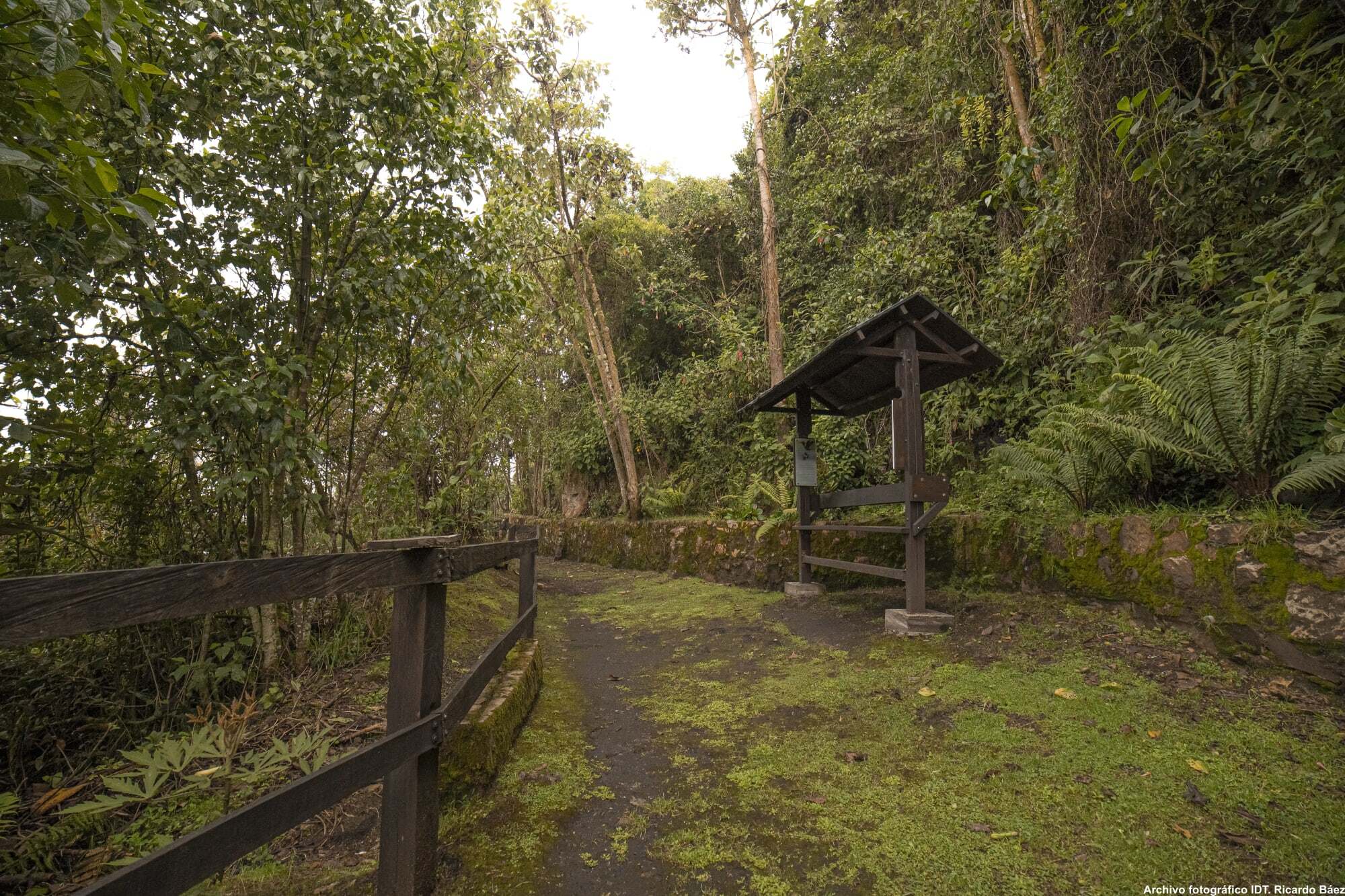 596_Monserrate-Sendero_Paramuno_26112021_Ricardo_Báez_13_pbbghp