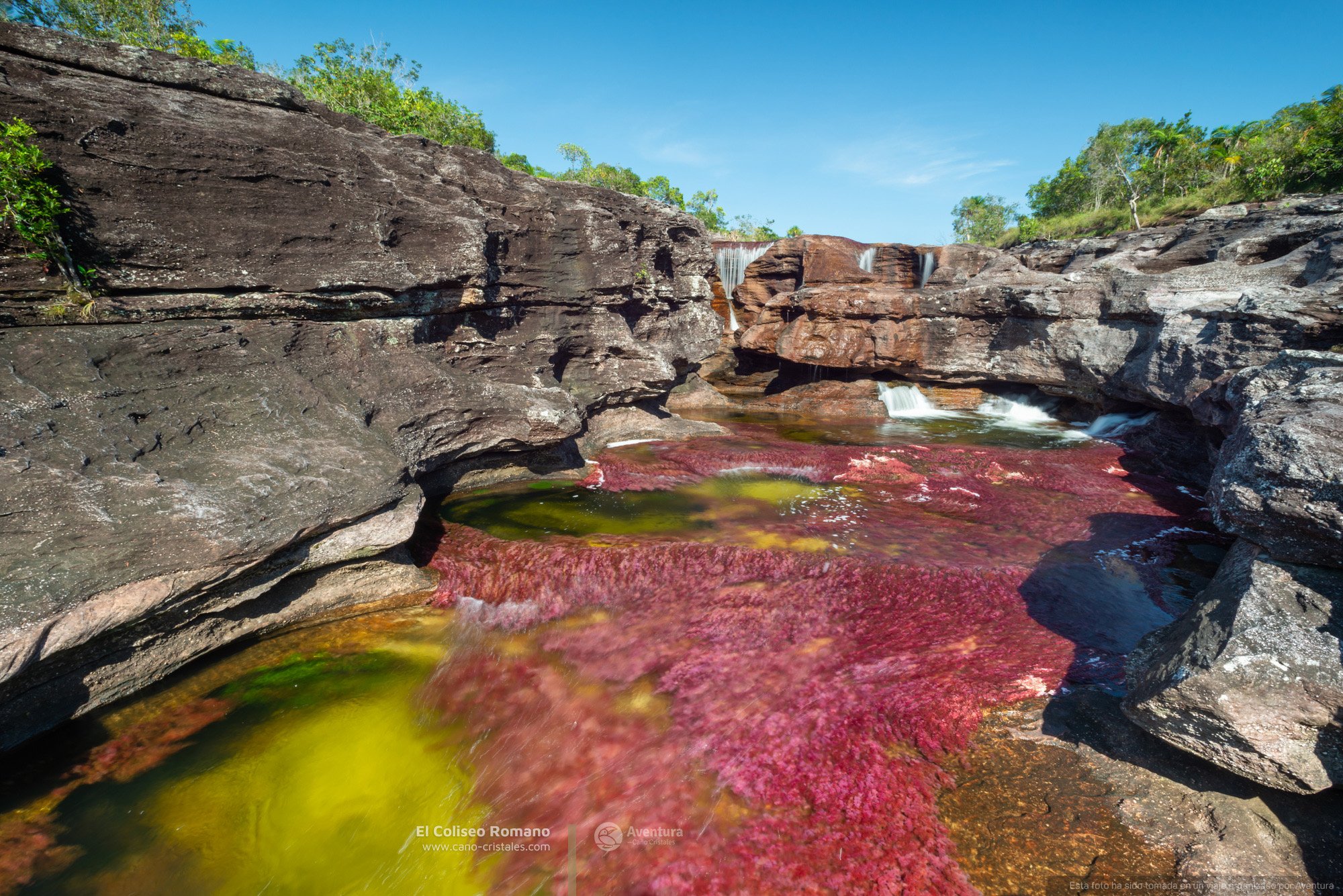Cano-Cristales-Coliseo-Romano