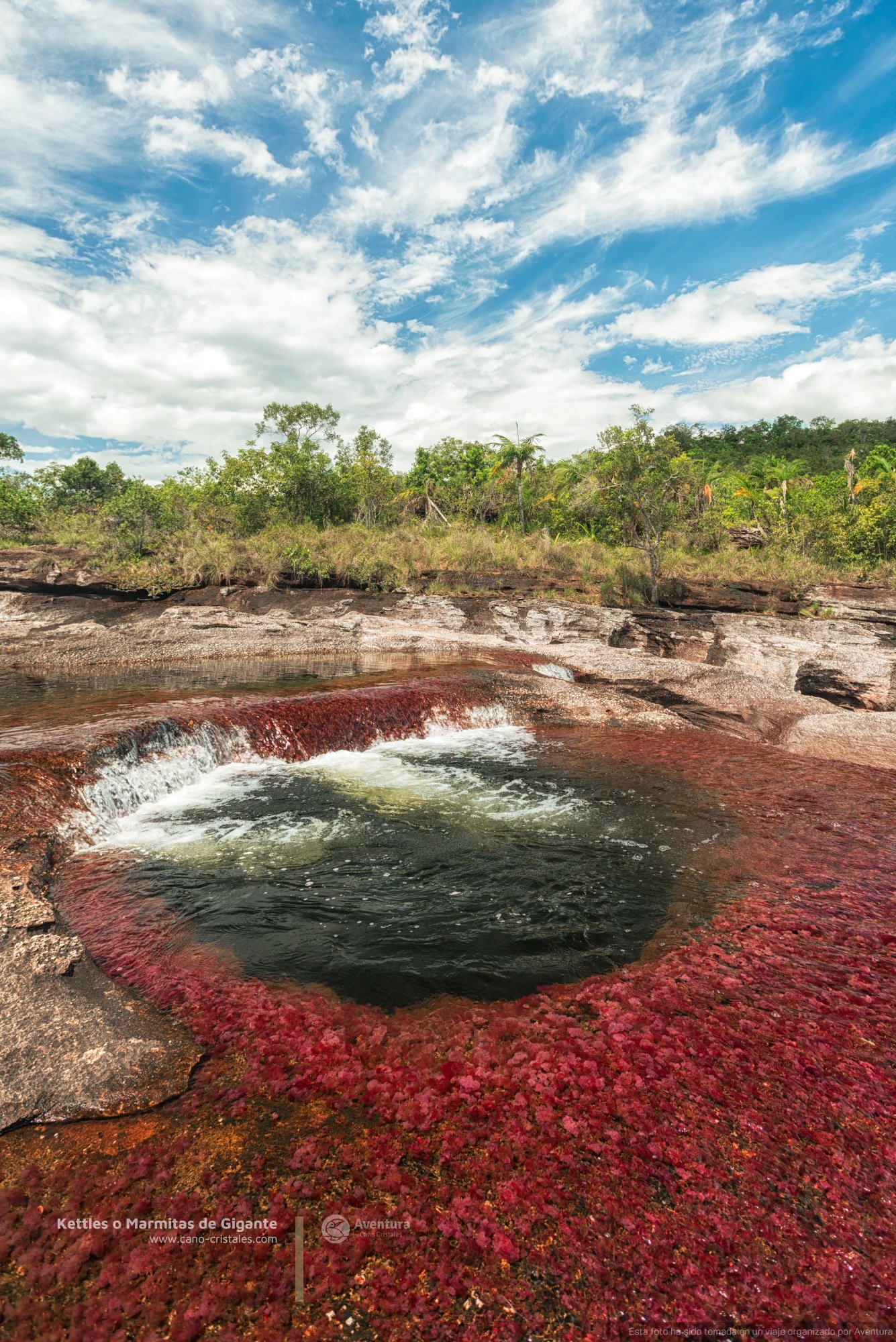 Cano-Cristales-La-Macarena-Colombia-3-3