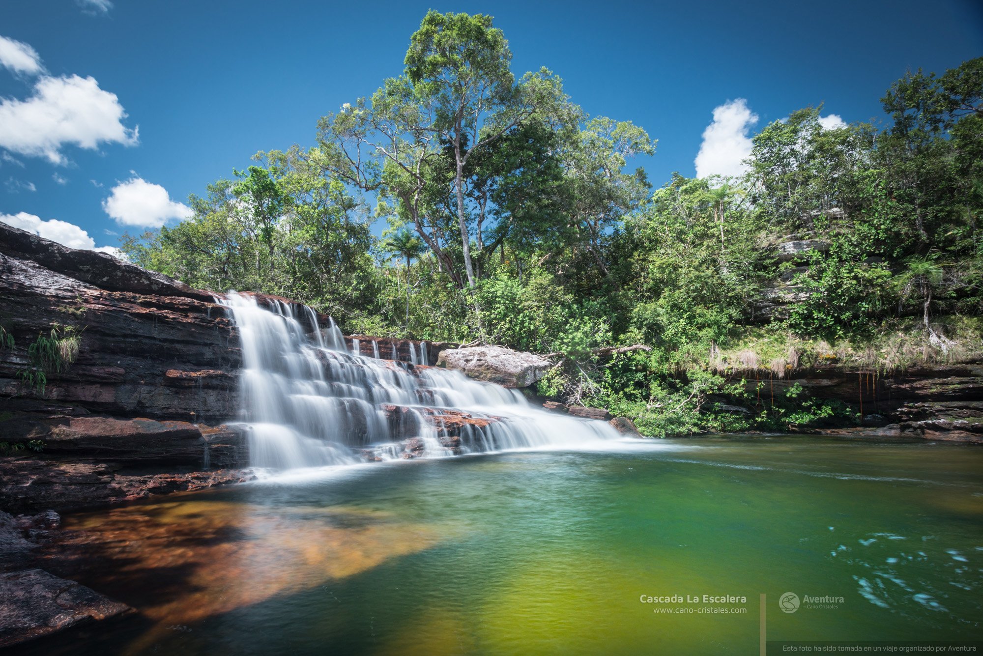 Cano-Cristales-La-Macarena-Colombia-4