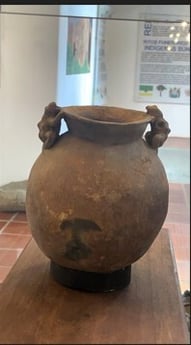 Captura de pantalla 2026-01-22 110147