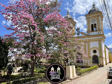 Diseño sin título (5)-1