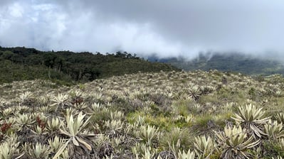 IMG_5926
