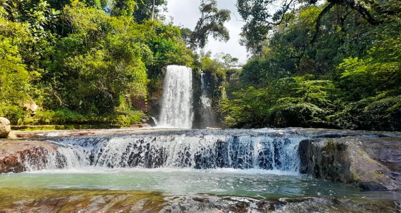 WhatsApp Image 2026-02-19 at 1.32.06 PM