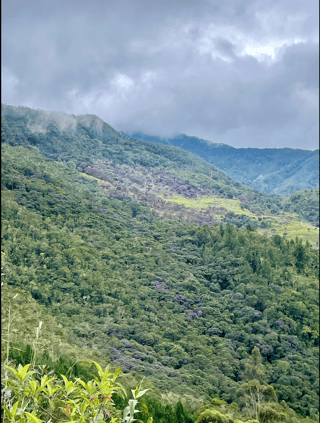 image-png-Oct-23-2026-04-03-06-5194-AM