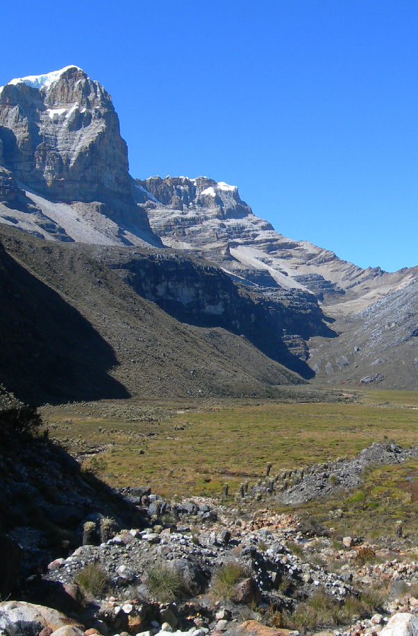 Andes orientales