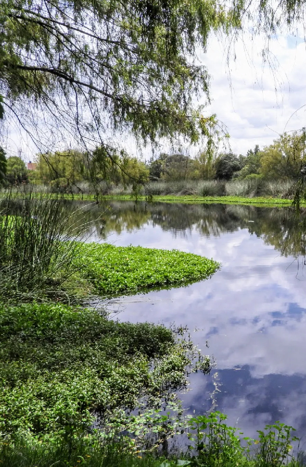 humedal Córdoba